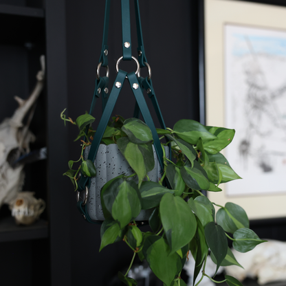 Net Plant Hanger